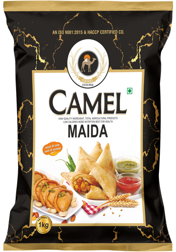 CAMEL--MAIDA